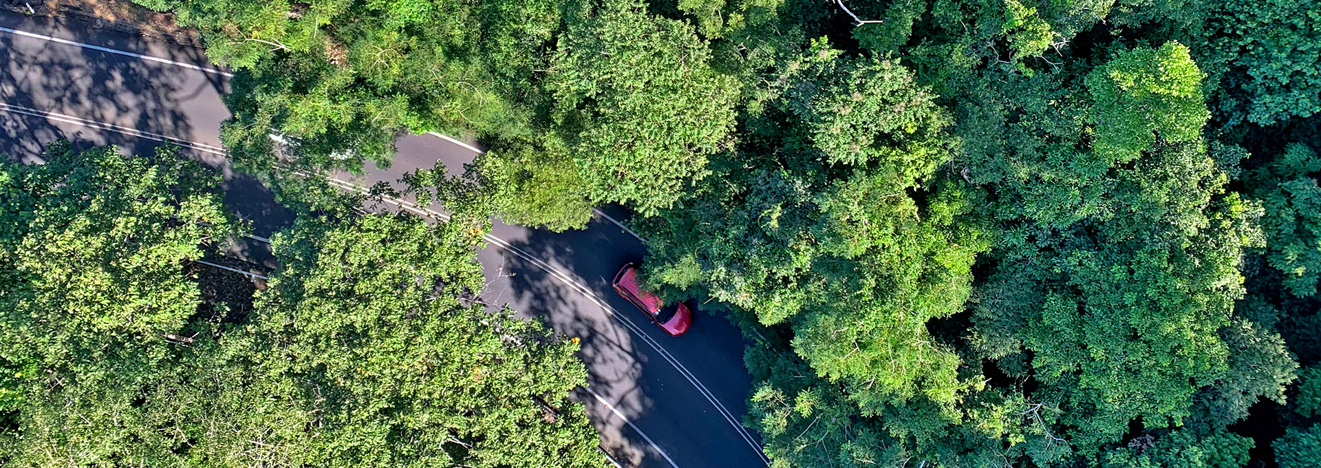 This is a the main heading