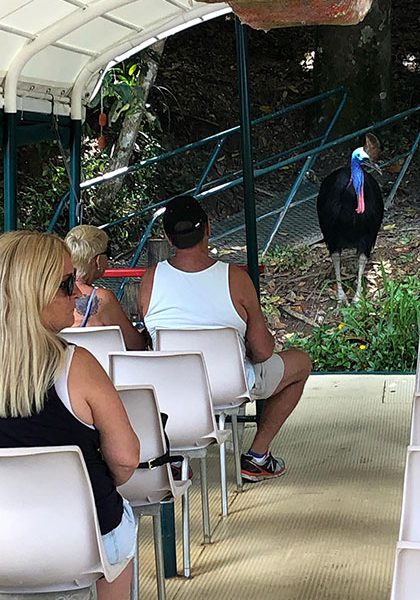 Kuranda Riverboat Tour