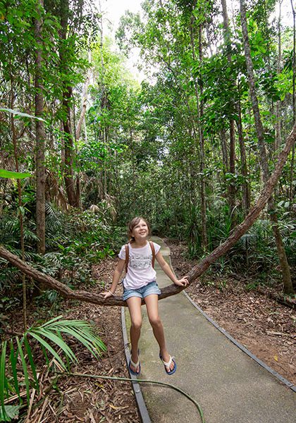 Kuranda Rainforest Walks